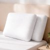 Lavio Ergonomic Memory Foam Pillow for Neck Shoulder Pain Relief Washable 2PC