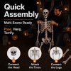 Yezi Halloween Skeleton Life Size 169cm Posable Jointed ABS Spooky Patio White