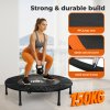 Centra 40 Inch Mini Trampoline Bounce Round Exercise Home Gym Fitness Rebounder