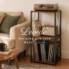 Levede Retro Record Player Stand 3 Tier Storage for Vinyl Records Brown