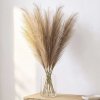 Santaco Pampas Grass Artificial 3Pcs 116cm Handcrafted Faux Silk Vase Brown