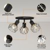EMITTO 3-Way Spotlight Ceiling Light Adjustable Vintage Black E14 Metal Fixture