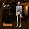 Yezi Halloween Skeleton Life Size 185cm Posable Joints Haunted House Patio White