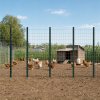Metal Fence Posts 3Ft 10Pc Set U Shape Powder Coated for Garden Boundary Green
