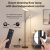 Emitto Modern Floor Lamp 2-in-1 Adjustable Reading Light Remote Control Timer