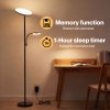 Emitto Modern Floor Lamp 2-in-1 Adjustable Reading Light Remote Control Timer
