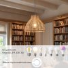 Emitto Ceiling Light Shade Wicker Basket Style Plastic Lampshade Pendant 2PCS