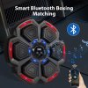 Centra Smart Punching Boxing with Boxing Gloves Black