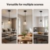 Emitto 2PCS Ceiling Pendant Light Industrial Glass LampShade Adjustable Cable