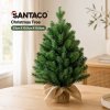 Santaco Christmas Tree Xmas Spruce Cement Base 75 PVC Tips Tabletop Indoor Green