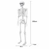 Yezi Halloween Skeleton Life Size 185cm Posable Joints Haunted House Patio White
