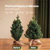 Santaco Christmas Tree Xmas Spruce Cement Base 75 PVC Tips Tabletop Indoor Green