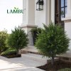 Lambu Artificial Cedar Topiary Balls Set of 2 Ground Spike Patio Garden Green