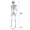 Yezi Halloween Skeleton Life Size 169cm Posable Jointed ABS Spooky Patio White