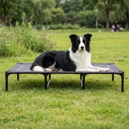 Skylos Elevated Dog Bed Large Mesh Raised Pet Cot Waterproof Indoor Outdoor