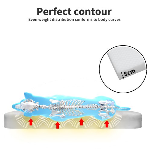 Skylos Orthopedic Pet Bed Foam Large Dog Bedding Plush Mattress Soft Cushion Mat