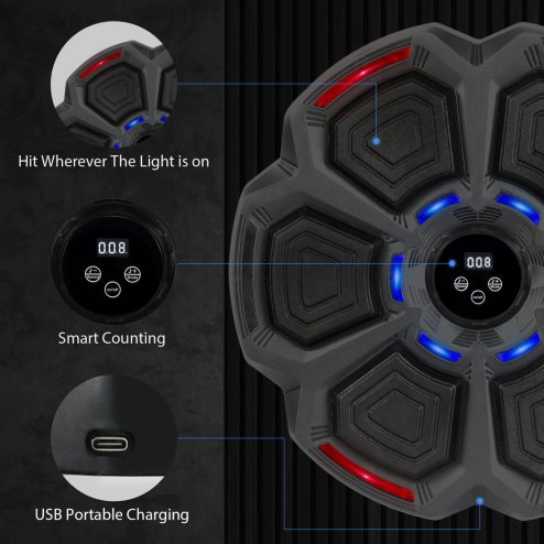 Centra Smart Punching Boxing with Boxing Gloves Black