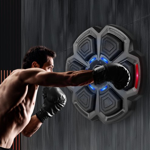 Centra Smart Punching Boxing with Boxing Gloves Black