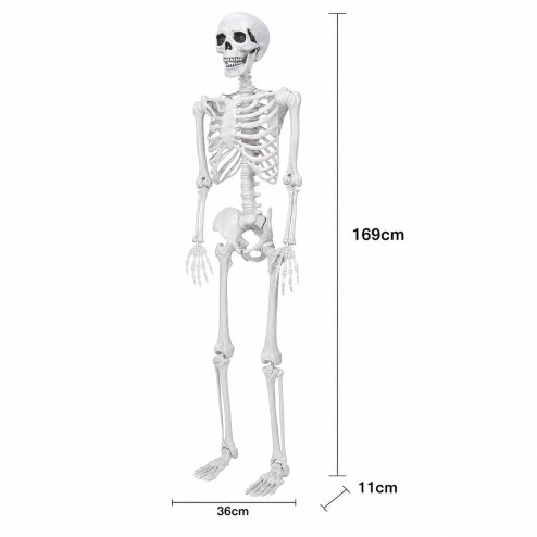 Yezi Halloween Skeleton Life Size 185cm Posable Joints Haunted House Patio White