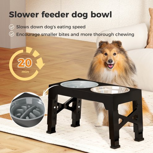 Skylos Elevated Dog Bowls 2 Stainless Steel Bowls and 1 Slow Feeder Bowl