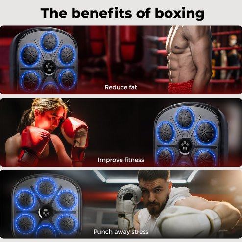 Centra Smart Punching Boxing USB with Boxing Gloves Black
