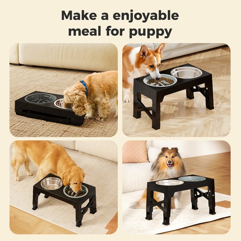 Skylos Elevated Dog Bowls 2 Stainless Steel Bowls and 1 Slow Feeder Bowl