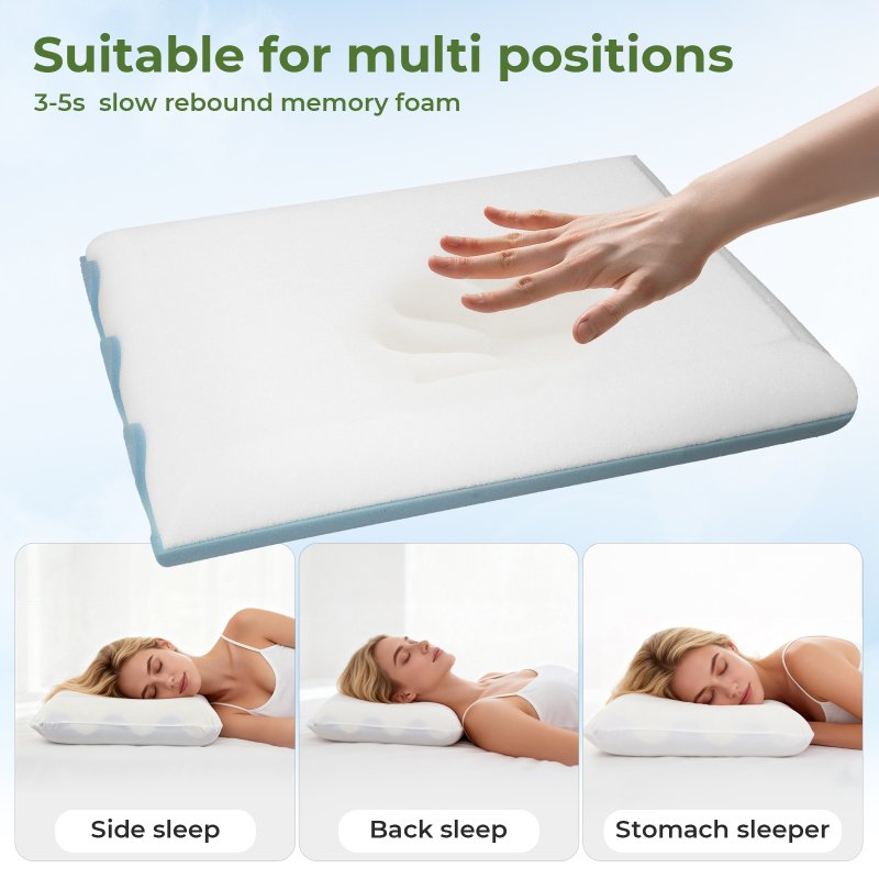 Lavio Luxury Pillow Firm Side Support Memory Foam with Soft Side Foam Reversible