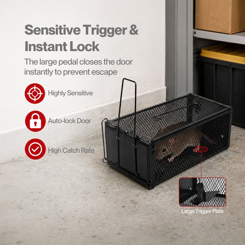 TOQUE Humane Mouse Traps Live Catch Rodent Trap Auto Lock For outdoor Black 2pc