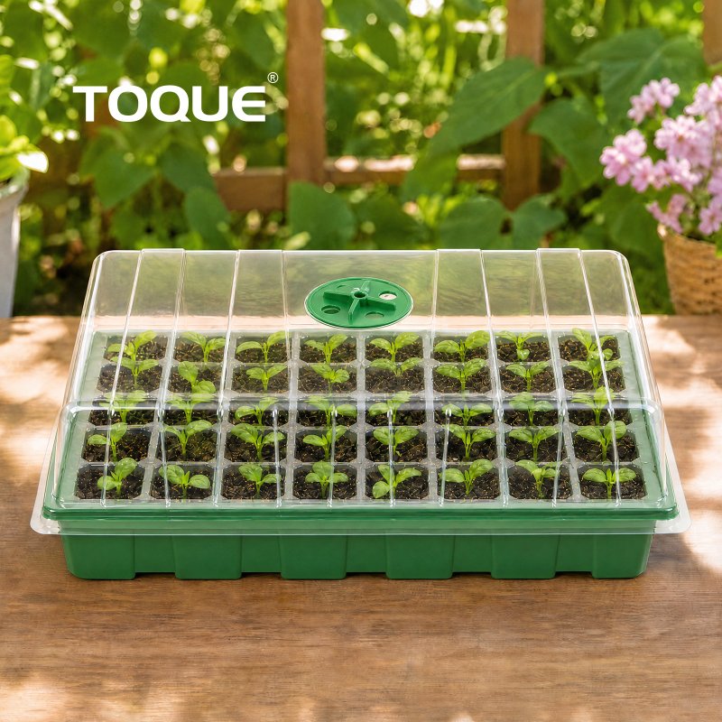 TOQUE Seed Trays 5Pc Clear View With Lids 40 Cell Propagators For Plants Green