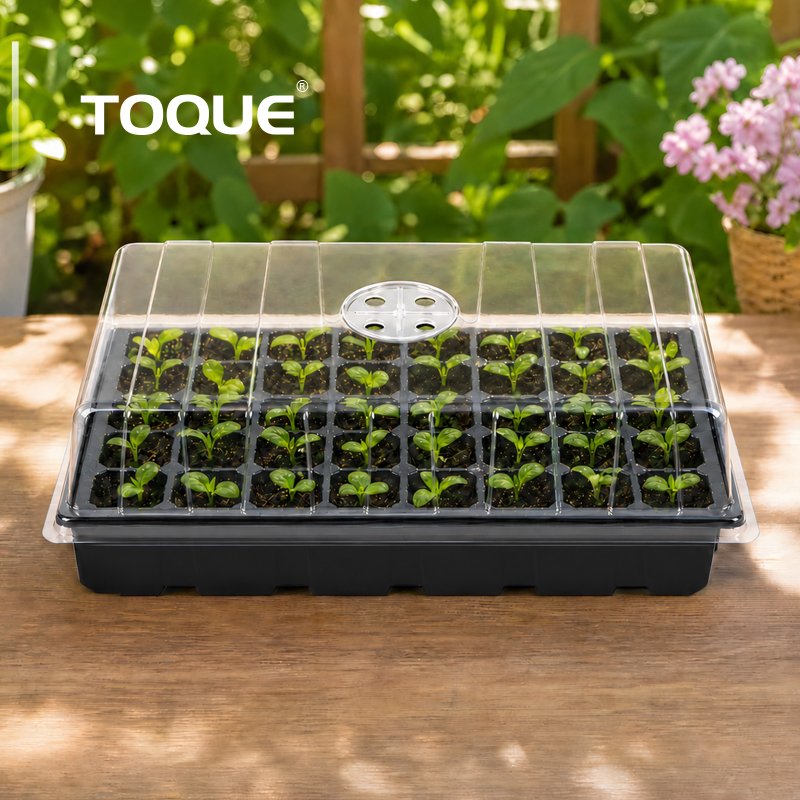 TOQUE Seed Trays 5Pc Clear View With Lids 40 Cell Propagators For Plants Black