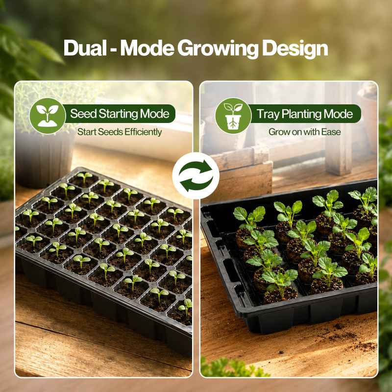 TOQUE Seed Trays 5Pc Clear View With Lids 40 Cell Propagators For Plants Black