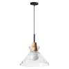 Pendant Lamp TOOLIGHT APP1183-1CP B Black Gold Metal Glass E27 1-light point