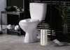 TOILET PAPER STAND REA P11899 GOLD