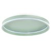 CEILING LAMP APP1463 GREEN