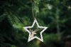 Set of 2 Christmas decorations KL-21X12 White