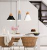Pendant Lamp TOOLIGHT APP057-1CP SCANDI B Black/ 14,5x26 cm E27