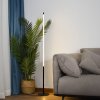 Floor Lamp Living Room Toolight LED APP1415-F Black