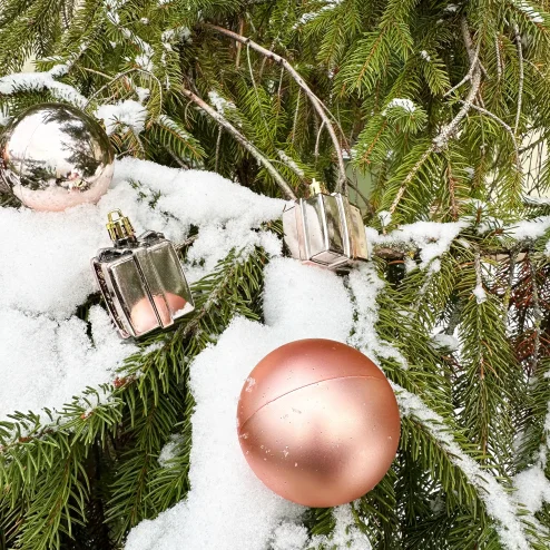Christmas balls 311437
