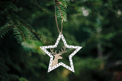 Set of 2 Christmas decorations KL-21X12 White