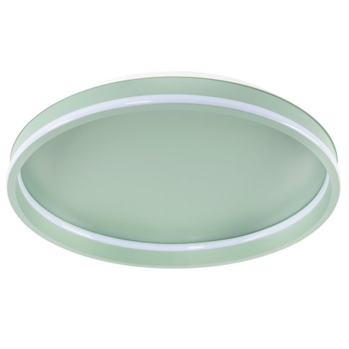 CEILING LAMP APP1463 GREEN