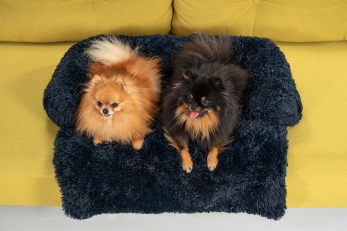 PET BED TUTUMI PJ-020 S BLUE