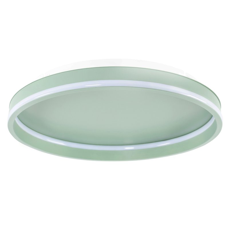 CEILING LAMP APP1463 GREEN