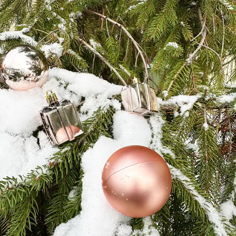 Christmas balls 311437