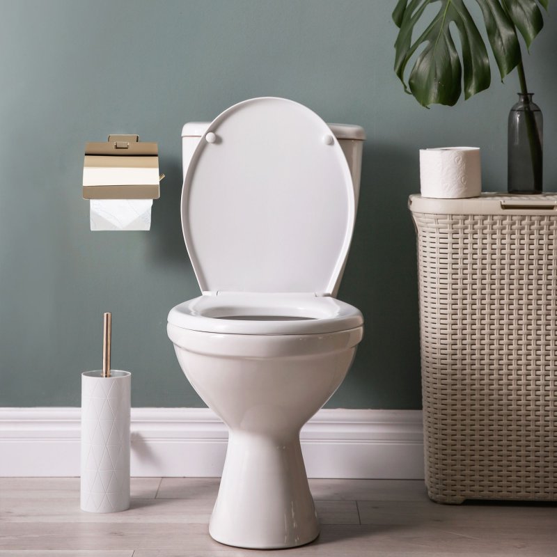 Toilet paper holder REA Gold OSTE 05