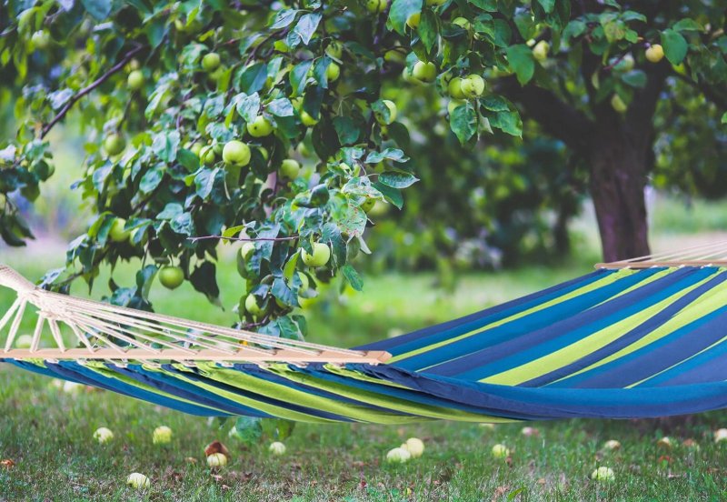 Hammock 480144B BLUE