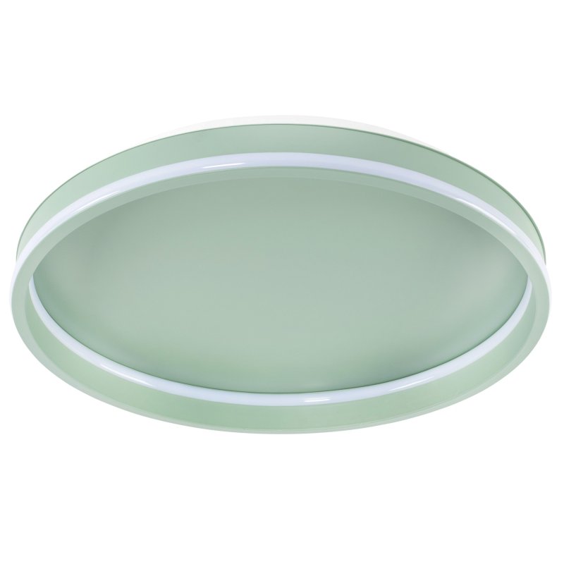 CEILING LAMP APP1463 GREEN