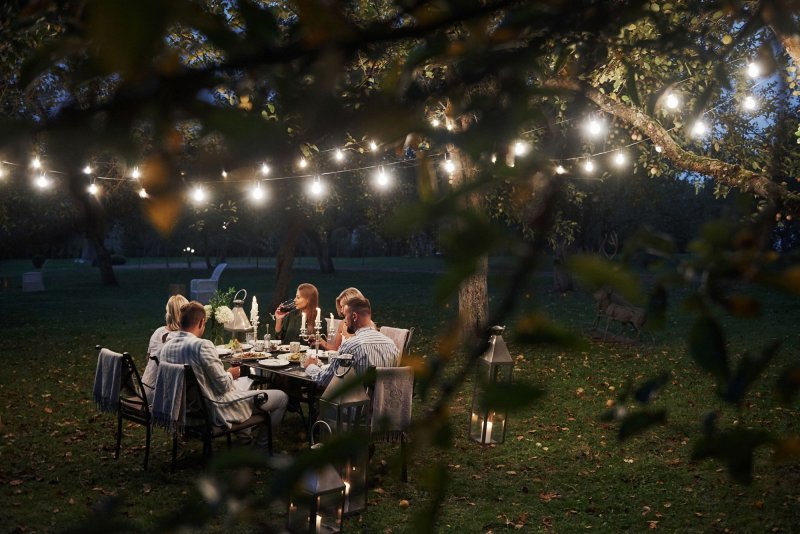 Outdoor garland black WOJ+14342