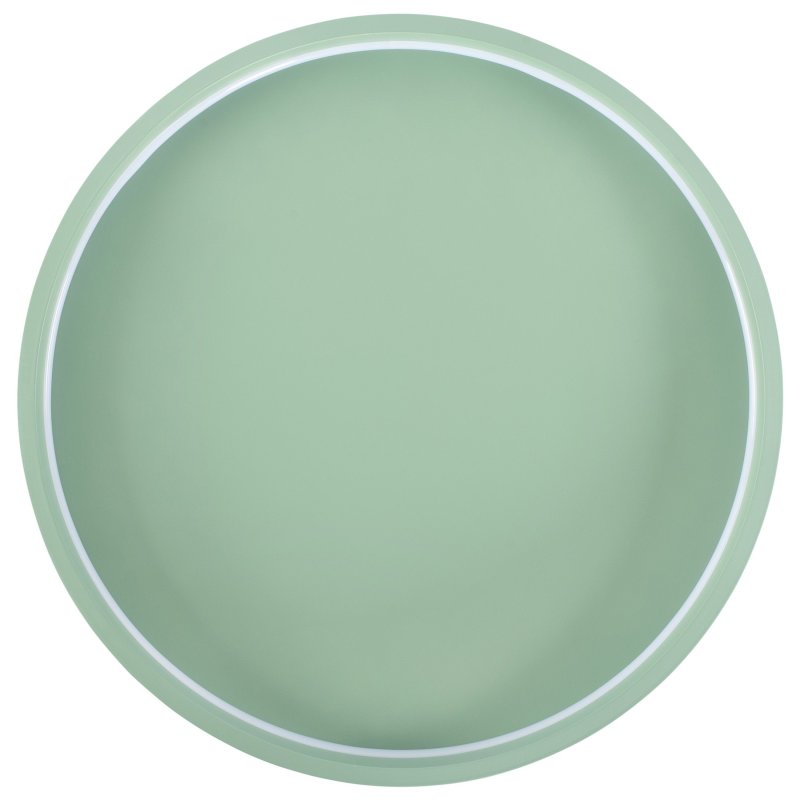 CEILING LAMP APP1463 GREEN