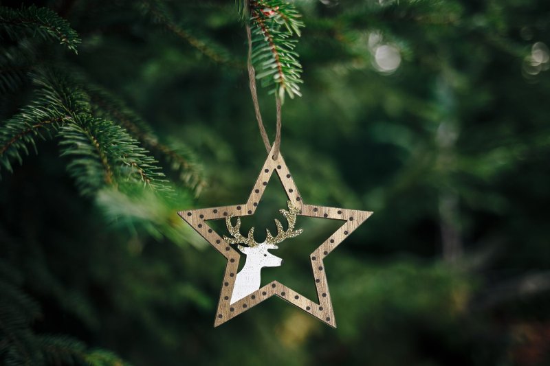 Set of 2 Christmas decorations KL-21X12 Brown